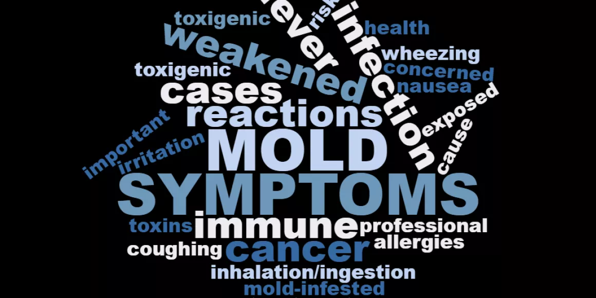 Mould symptoms tag cloud