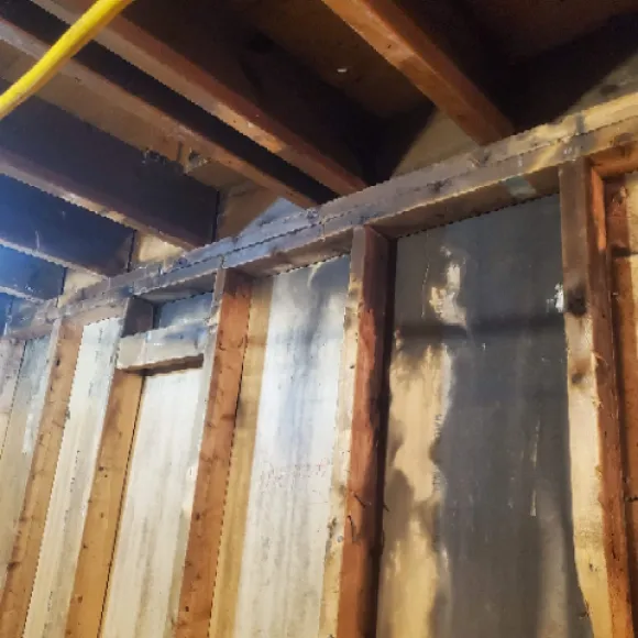 Fire remediation with c02 blasting