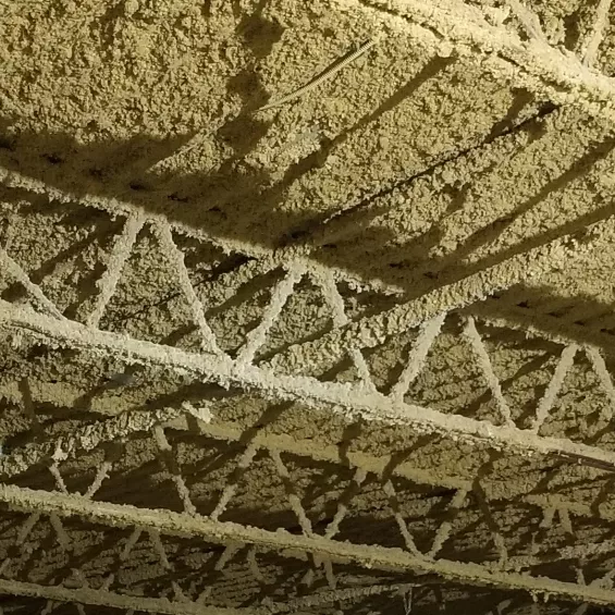 Cellulose on ceiling