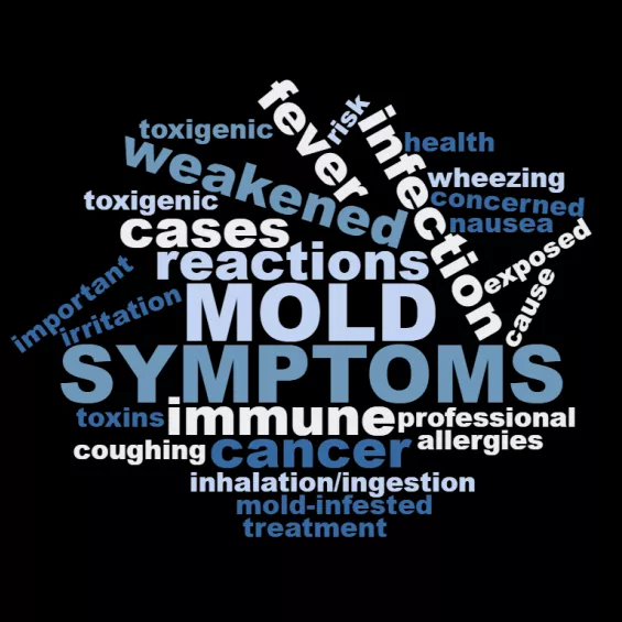 Mould symptoms tag cloud